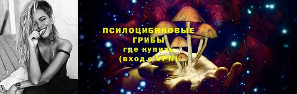 гидропоника Магас