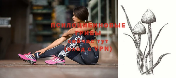 гидропоника Магас