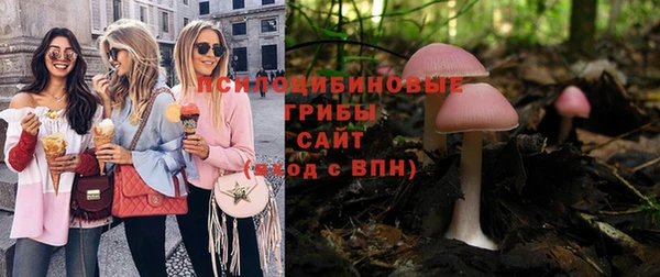 гидропоника Магас