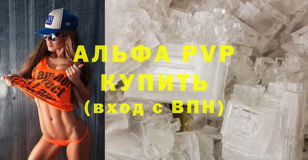 ECSTASY Майский
