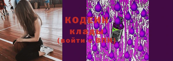 ECSTASY Майский