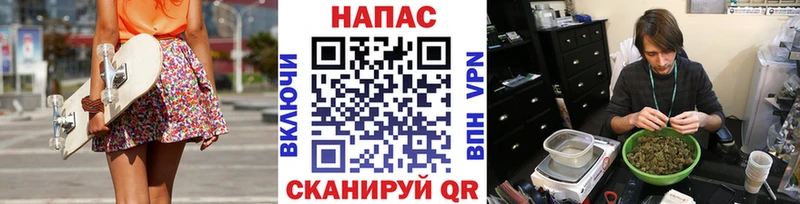 ОМГ ОМГ tor  Тогучин  Бошки марихуана OG Kush 